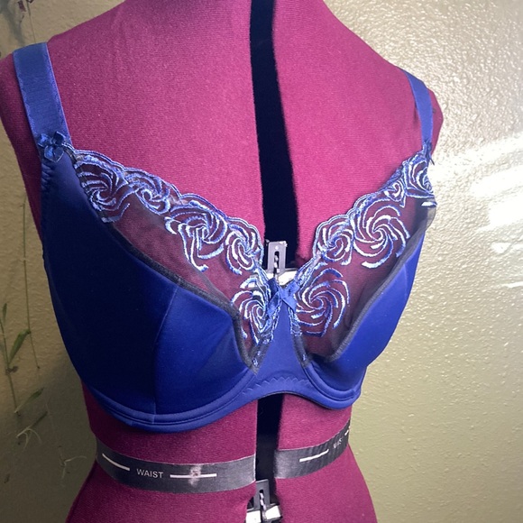 NWOT 70 K Poland bra. (Non USA sizes are different. Check sizing guide) - Picture 1 of 11